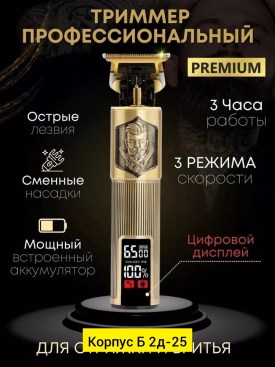 Одежда