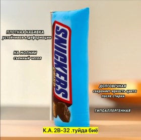 Одежда