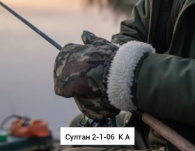 Одежда