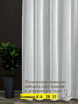 Одежда
