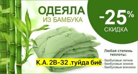 Одежда