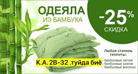 Одежда