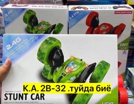 Одежда