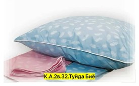 Одежда