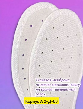 Одежда