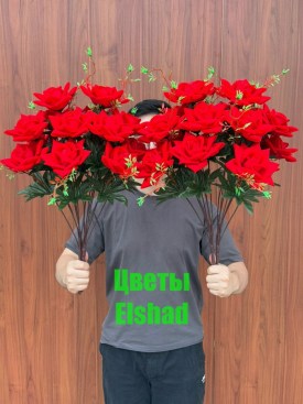 Новый год