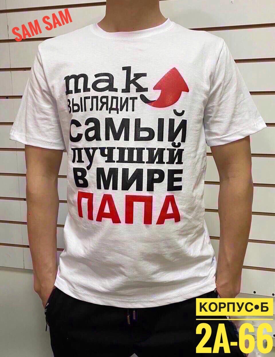 футболки мужские,футболки мужские белые,футболка самый лучший в мире папа,футболка с надписью самый лучший папа,футболки мужские с принтом