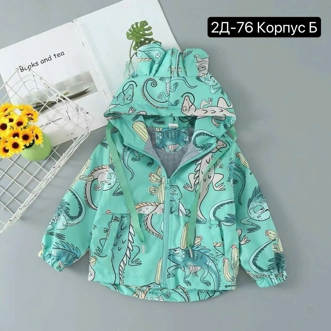 куртка для малыша,ветровка детская легкая,демисезонная куртка,ветровка детская,куртка для мальчика