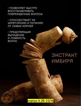 Одежда