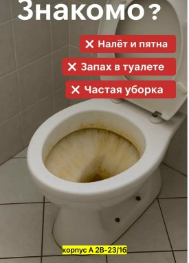 Одежда