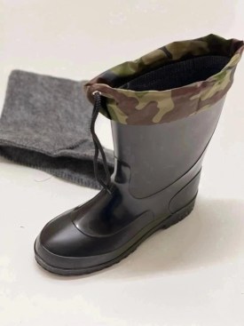 Сапоги