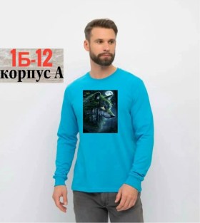 Толстовка