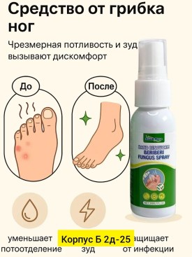 Одежда