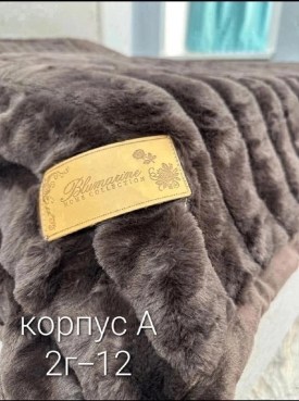 Одежда