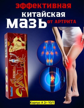 Одежда
