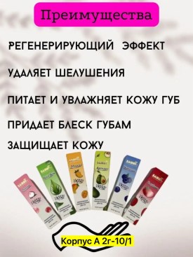 Одежда