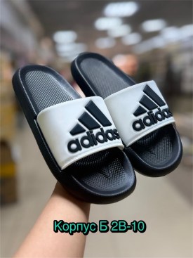 Сланцы