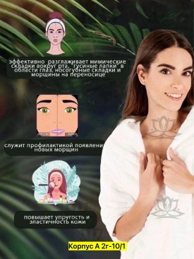 Одежда