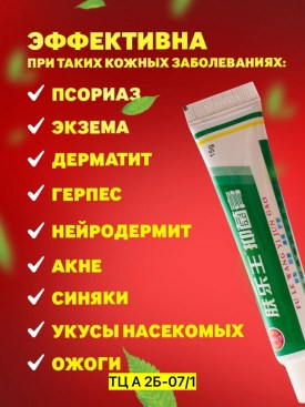 Одежда