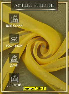 Одежда