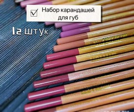 Одежда