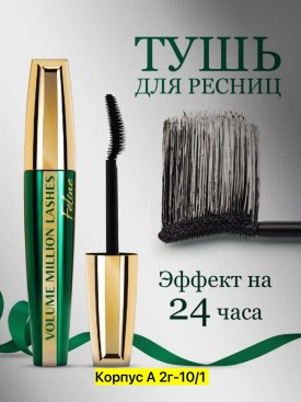 Одежда