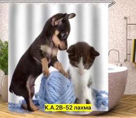 Одежда