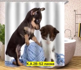 Одежда