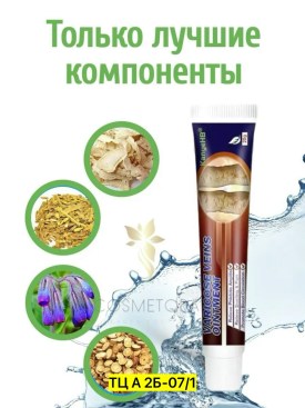 Одежда