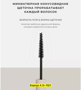 Одежда