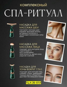 Одежда