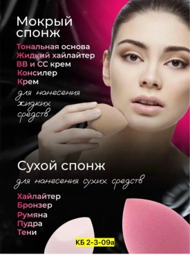 Одежда