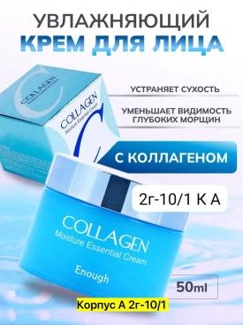 Одежда
