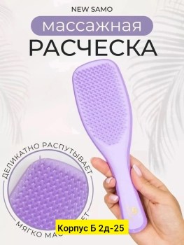 Одежда