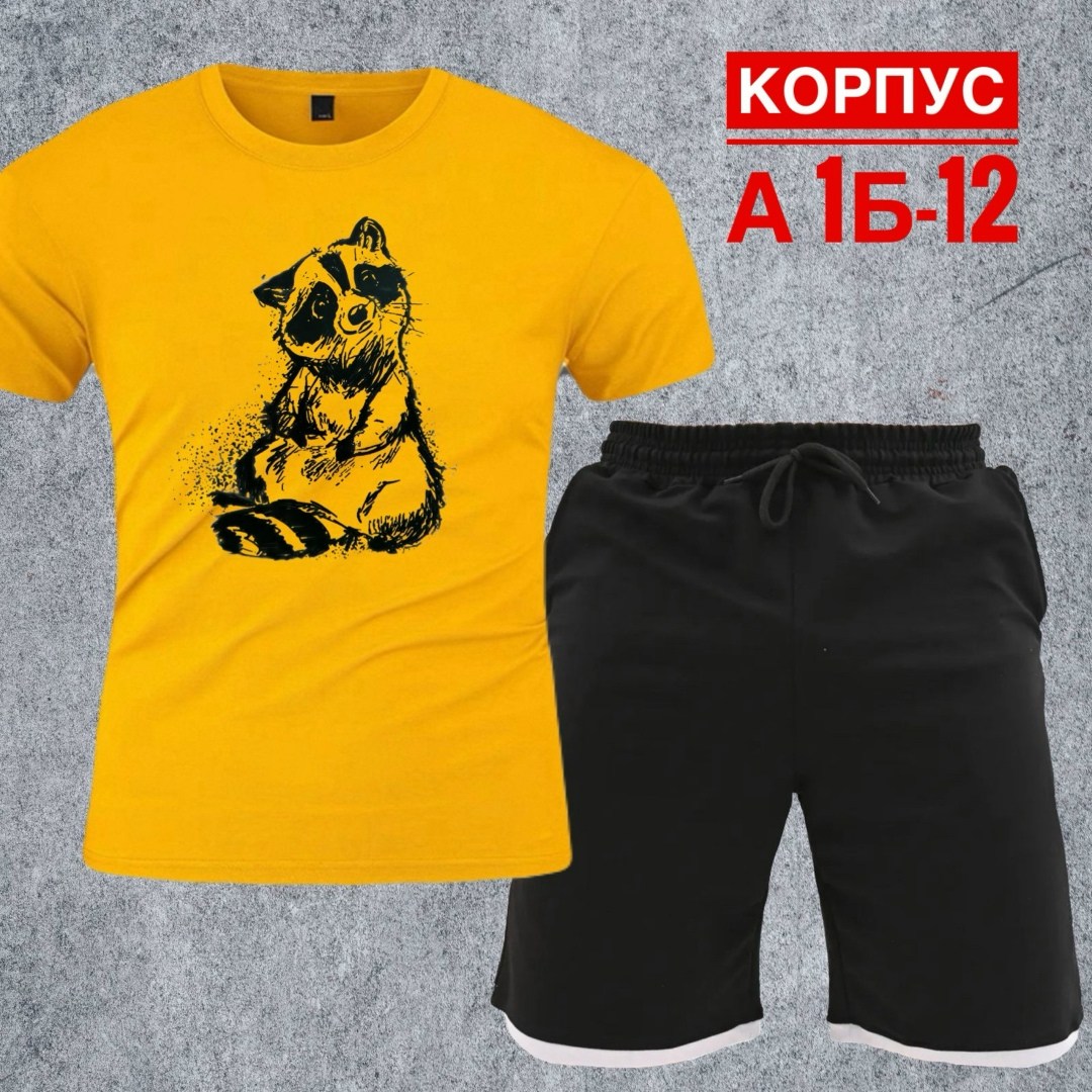 костюм с шортами и футболкой спортивный летний мужской,костюм для мужчин,костюм спортивный мужской,костюм мужской