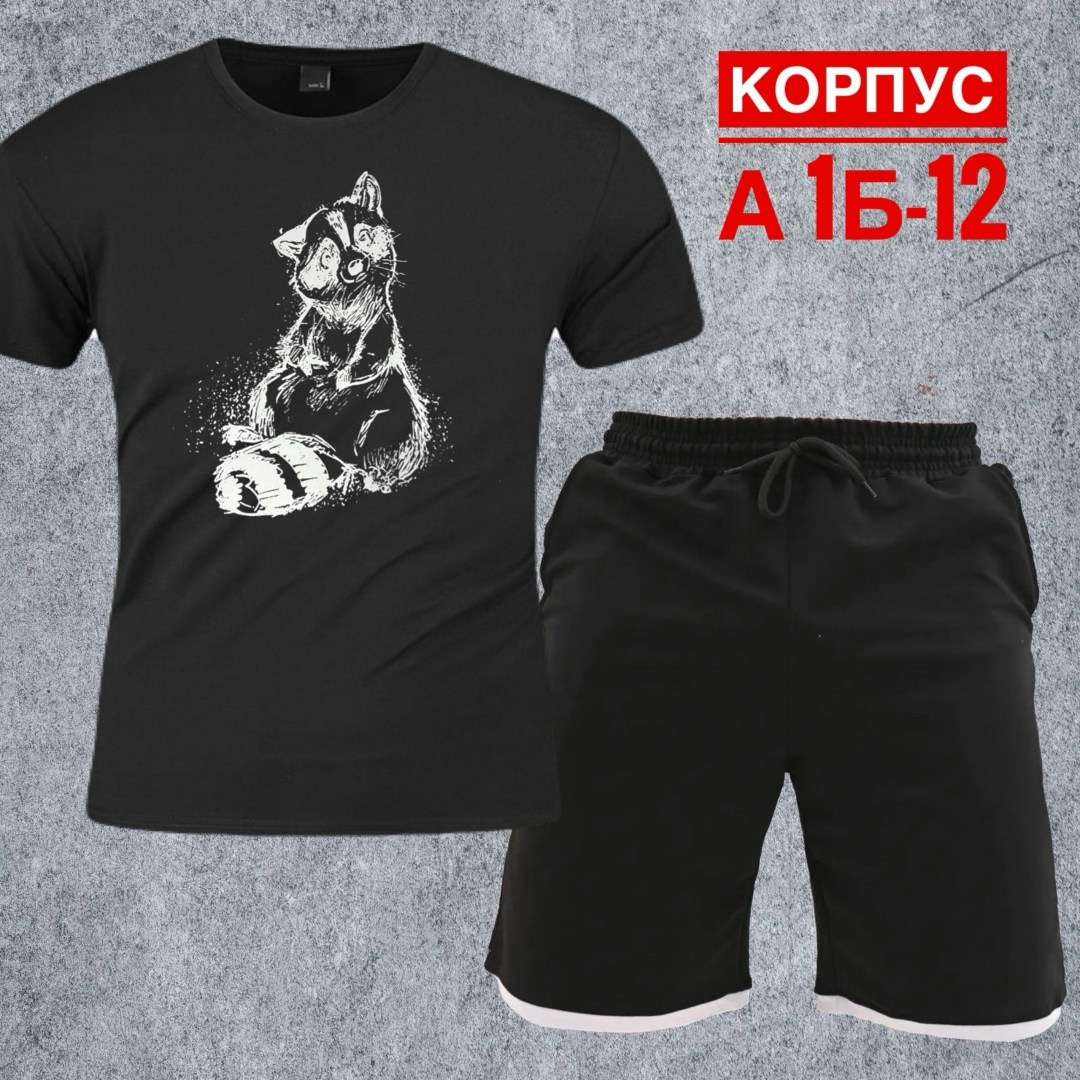 костюм с шортами и футболкой спортивный летний мужской,костюм для мужчин,костюм спортивный мужской,костюм мужской