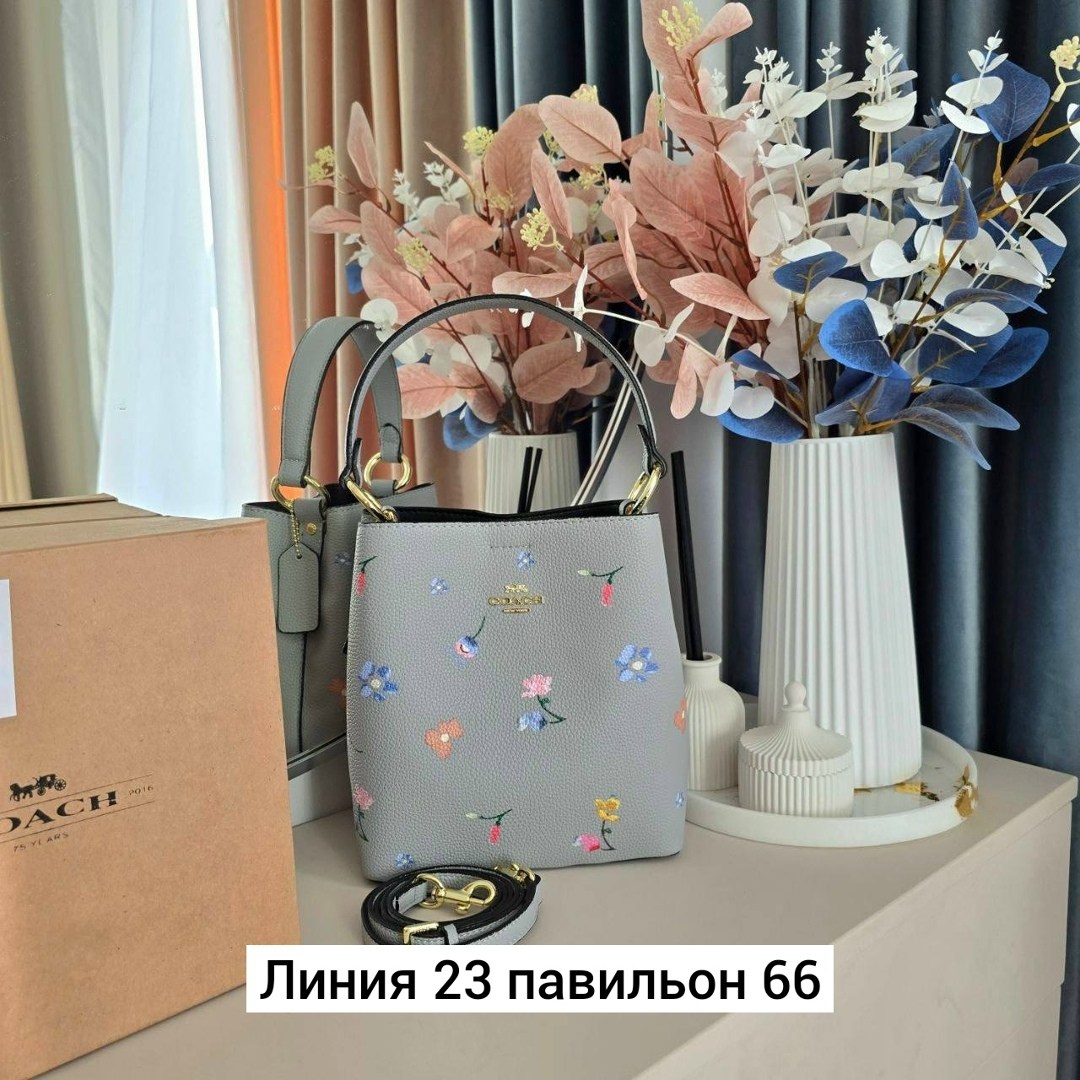 женская сумка coach,сумка,женская сумка,модная сумка,сумка coach