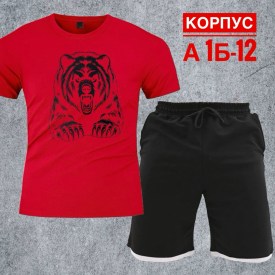 Костюм