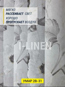 Одежда