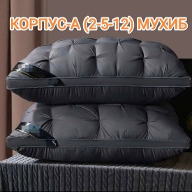 Одежда