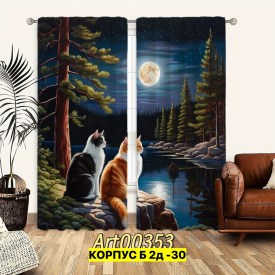 Одежда