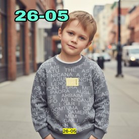 Толстовка