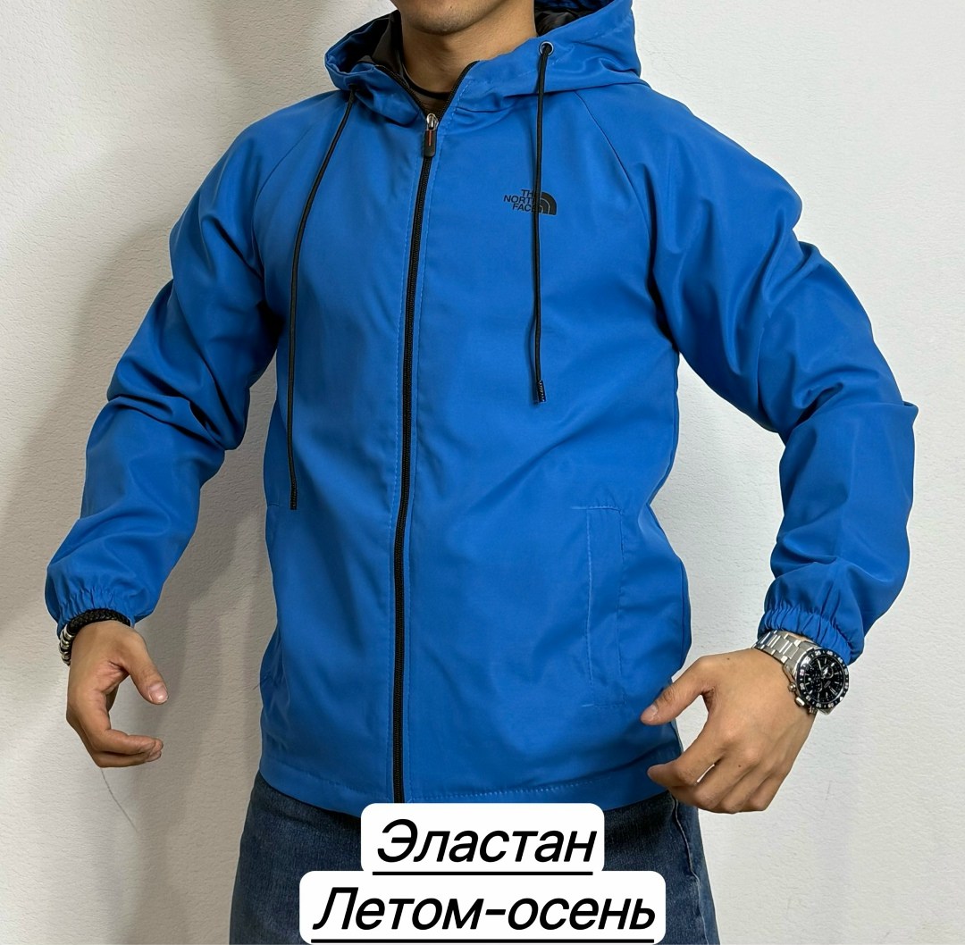 ветровка the north face мужская,the north face ветровка,куртка the north face,куртка модная,куртка ветровка мужская демисезонная