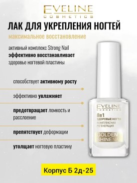 Одежда