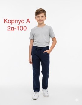 Штаны