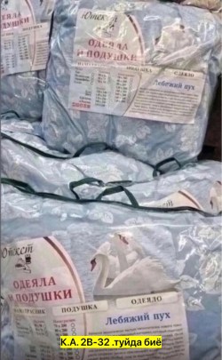 Одежда