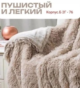 Одежда