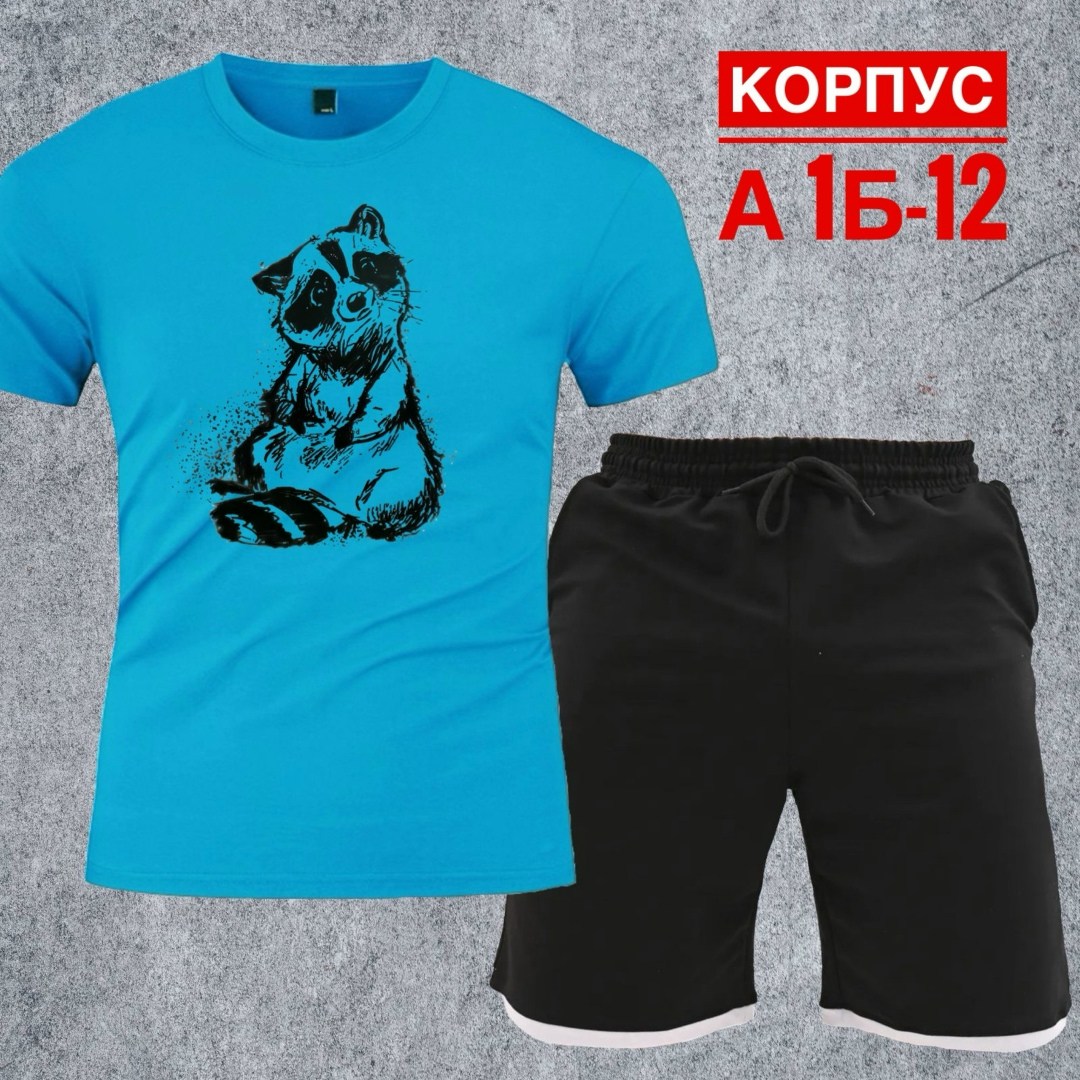 костюм с шортами и футболкой спортивный летний мужской,костюм для мужчин,костюм спортивный мужской,костюм мужской