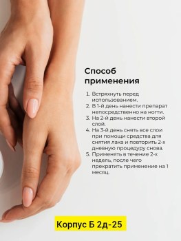 Новый год