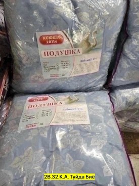 Одежда